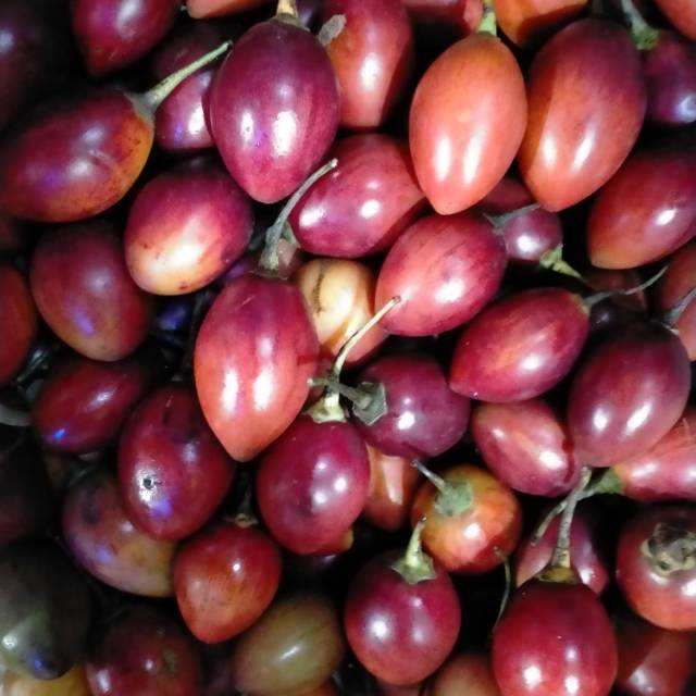 

Terong Belanda/Tiung 1/2 kg