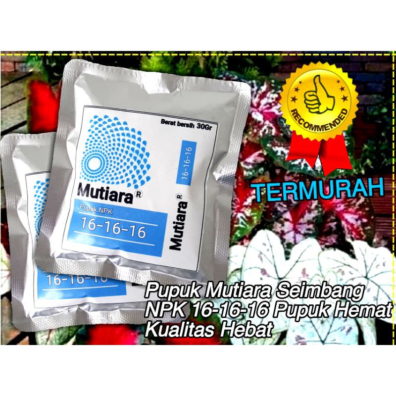 Pupuk NPK Mutiara Biru 16-16-16 pupuk majemuk seimbang Original Termurah