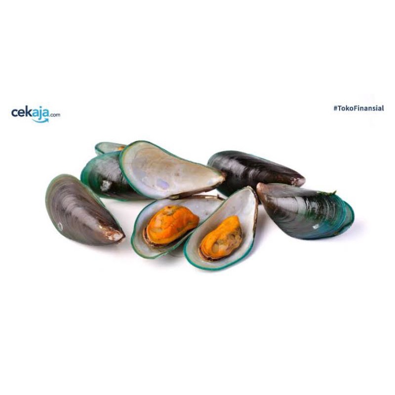 

Seafood Kerang kulit hijau segar 500 gram - 1kg fresh surabaya