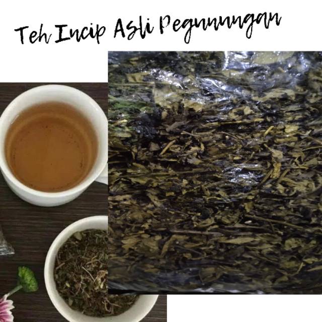 

Teh Incip Asli Pegunungan