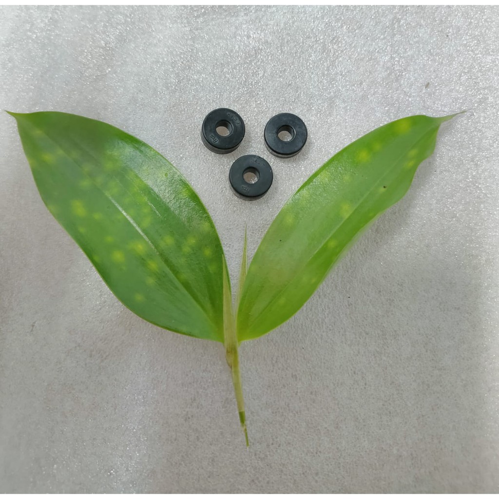 Karet Ganda / Rubber Clutch Damper Yamaha Mio Matic 5TL E7645 00