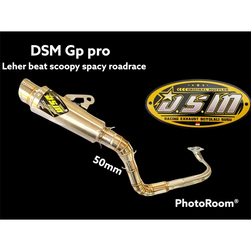 Knalpot Dsm gp pro Beat scoopy spacy slencer original dsm