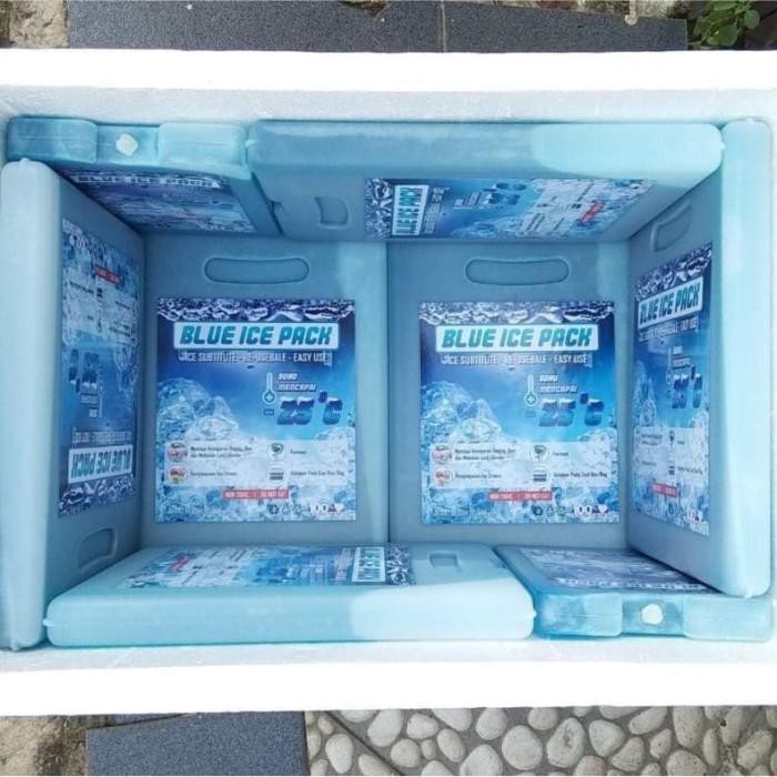 Kotak Karton / Paket Box Styrofoam Es Krim Jumbo + Ice Pack Khusus Gojek Dan Grab