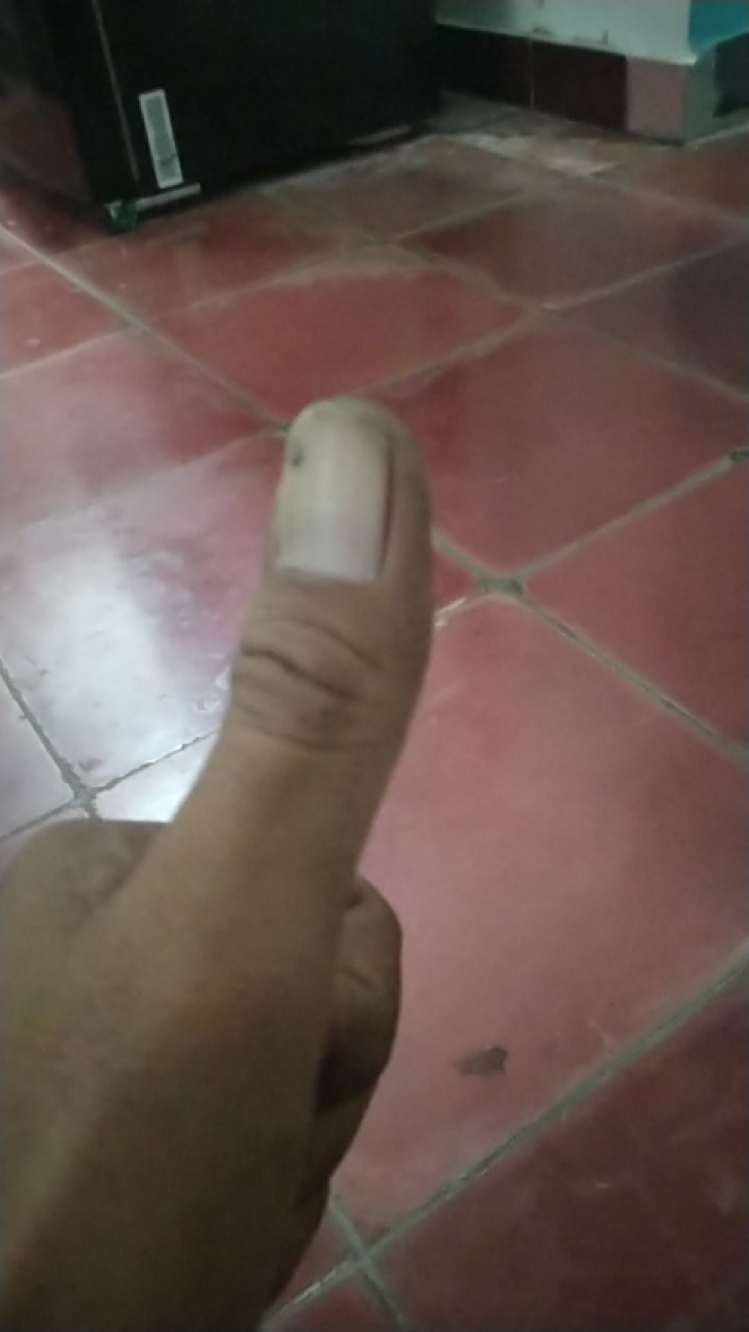 Mata Bor Gerinda 5pcs Alat Kikir Ukir Kayu Rasp Set Woodworking Diy Craft Ball Oval Cylinder Large