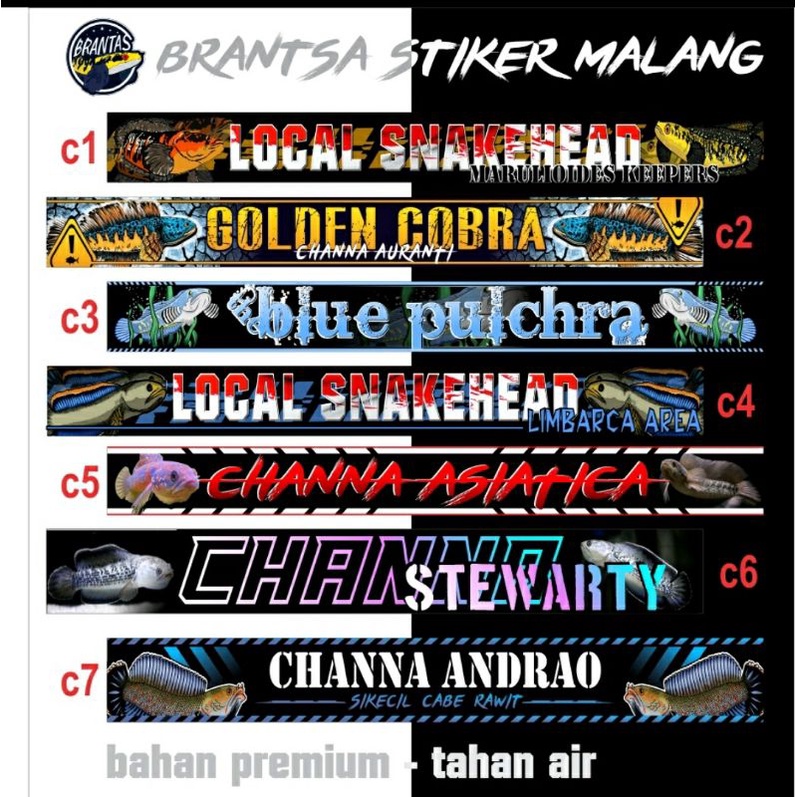 stiker iwak galak/stiker aquarium