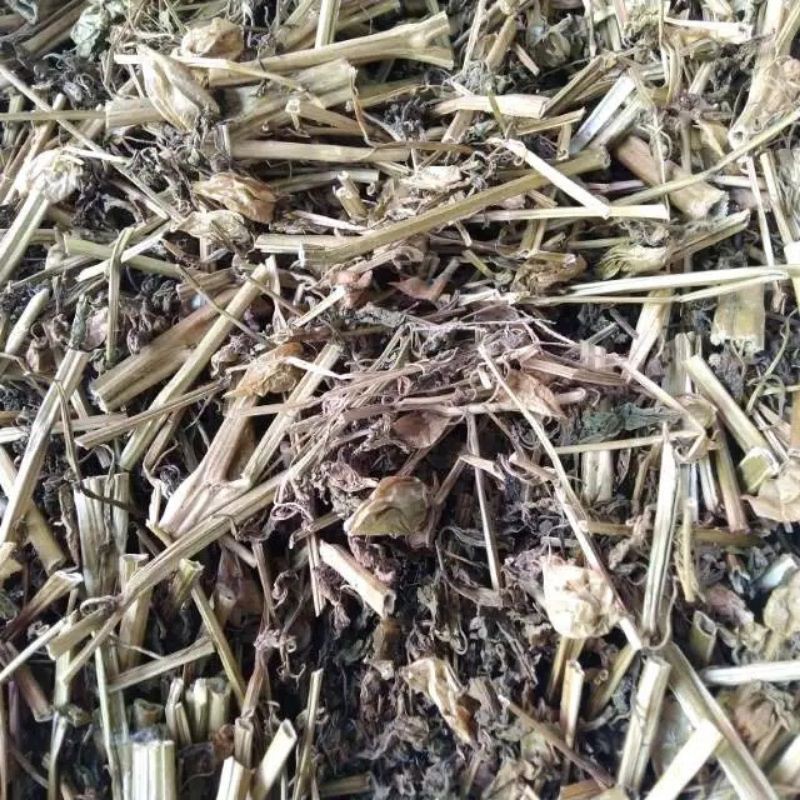 

Daun Ciplukan kering 1 kg