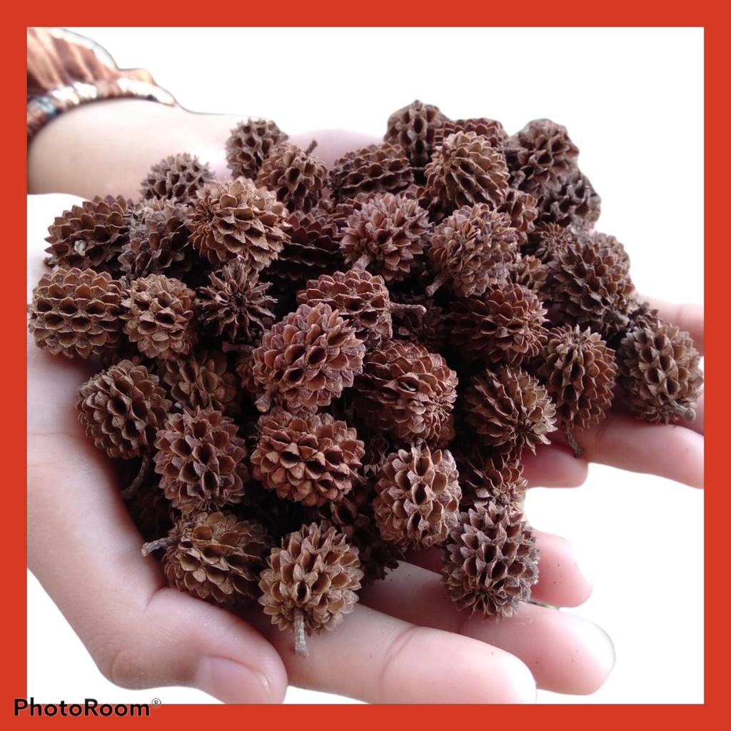 TERLENGKAP Bunga Kering Untuk Hiasan Parcel Bunga Kering Untuk Hiasan Hantaran Bunga Kering Untuk Hi