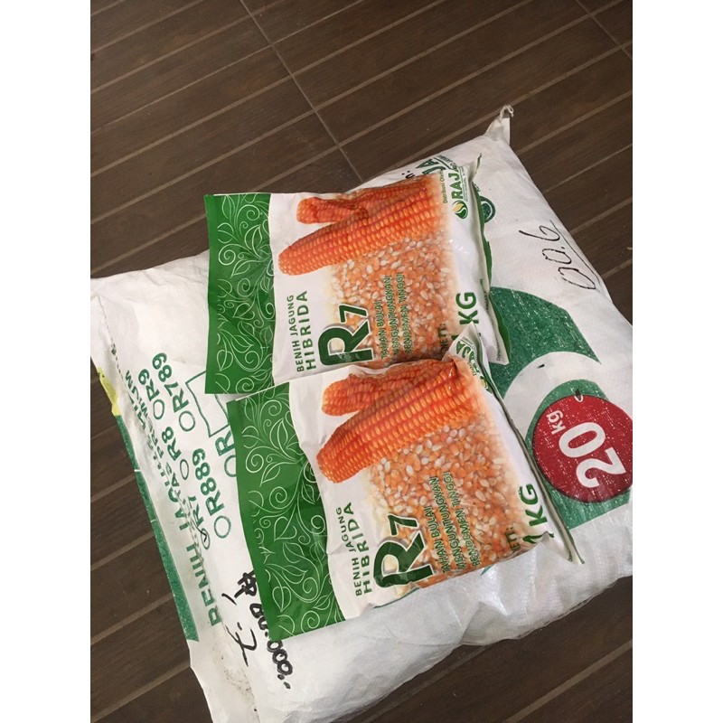 Benih jagung hibrida R7