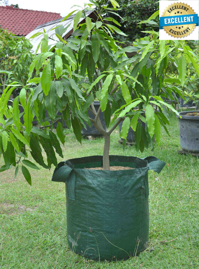 Planter Bag 75 Liter