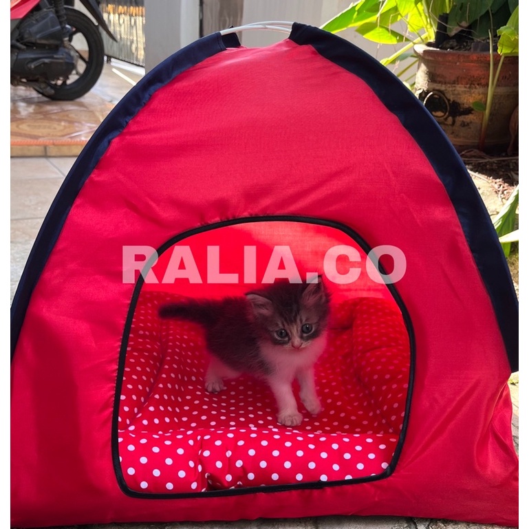 TENDA KUCING ANJING RUMAH KUCING ANJING FREE ALAS SEPERTI PADA FOTO TENDA KUCING KASUR KUCING