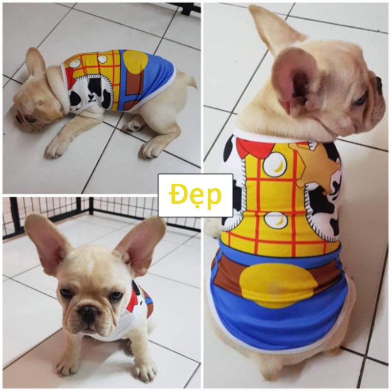 Rompi Anjing Lucu Untuk Musim Semi / Panas