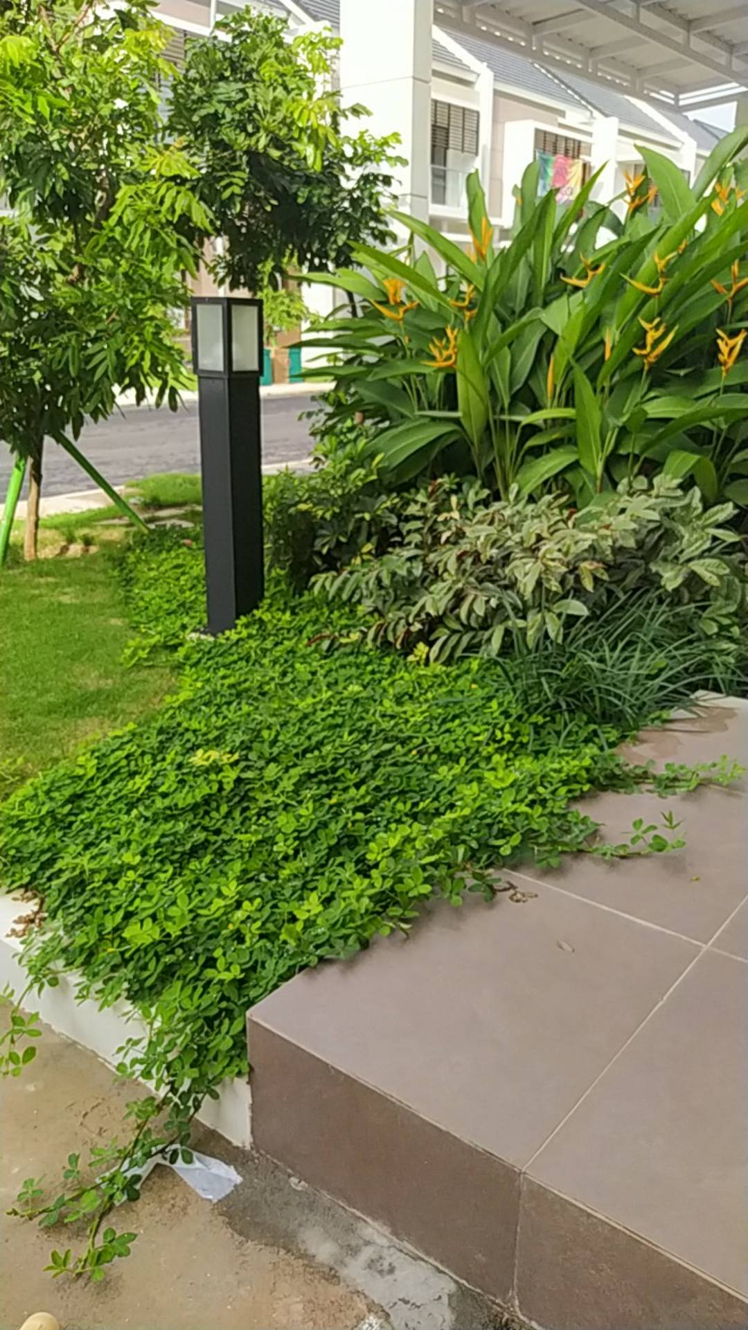 Mulia Signature Subway Keramik Dinding 7.5 X 15 Bevel