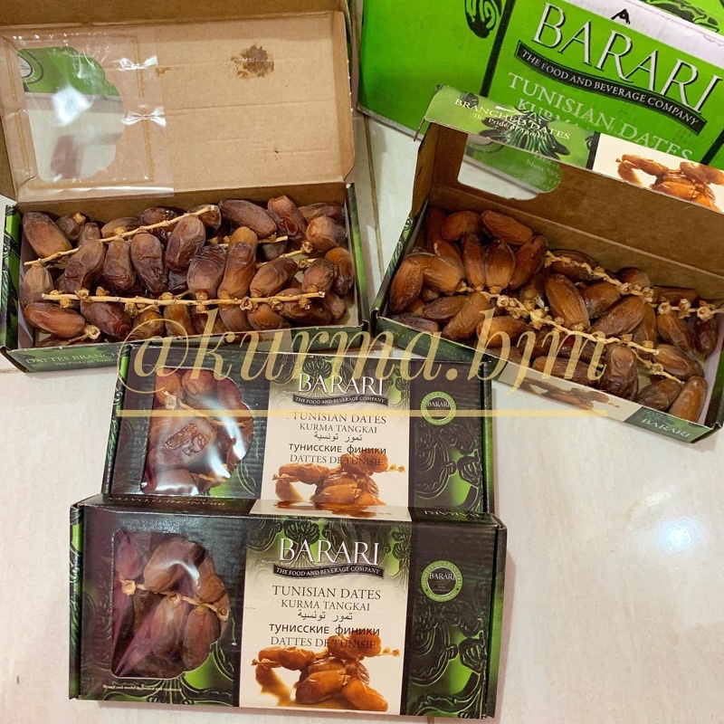 

KURMA BARARI TUNISIA TANGKAI