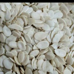 

Kuaci Tanpa Kulit Untuk Isian Mooncake 200g