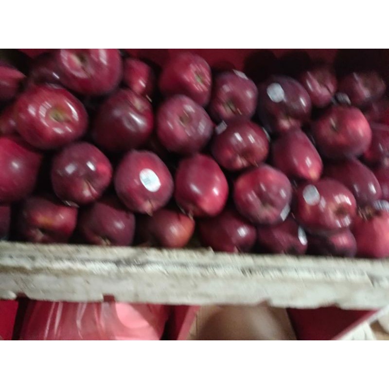 

apel merah wasington