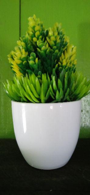 Pinus - Pot Tanaman Pohon Hias Vas Bunga Dekorasi Ornamen Tanaman Bonsai Buatan Untuk Hiasan Rumah