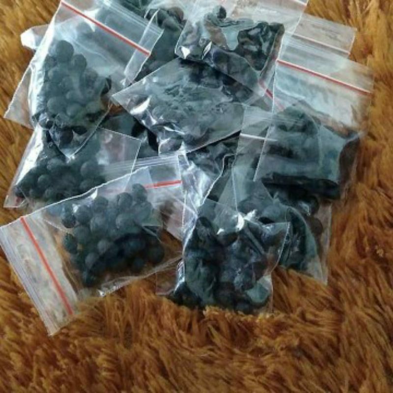 

jamu herbal kering