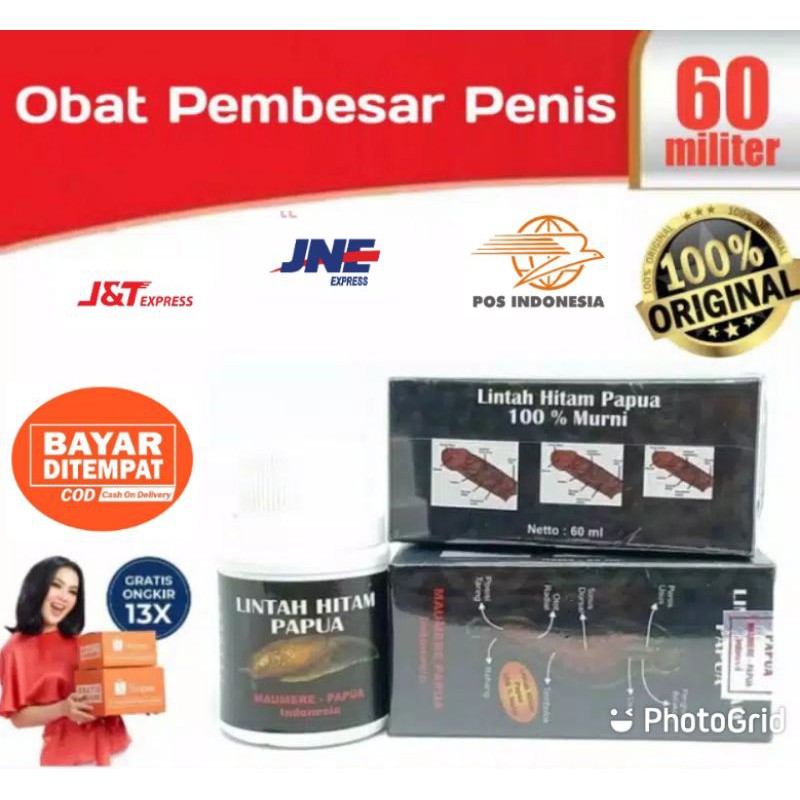 Jual Cod Minyak Lintah Hitam Papua Asli 100 Original Pembesar Penis