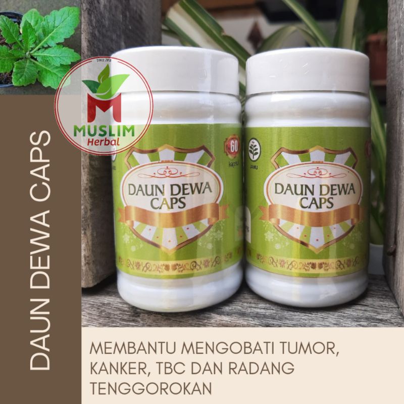 

DAUN DEWA CAPS ISI 60 KAPSUL