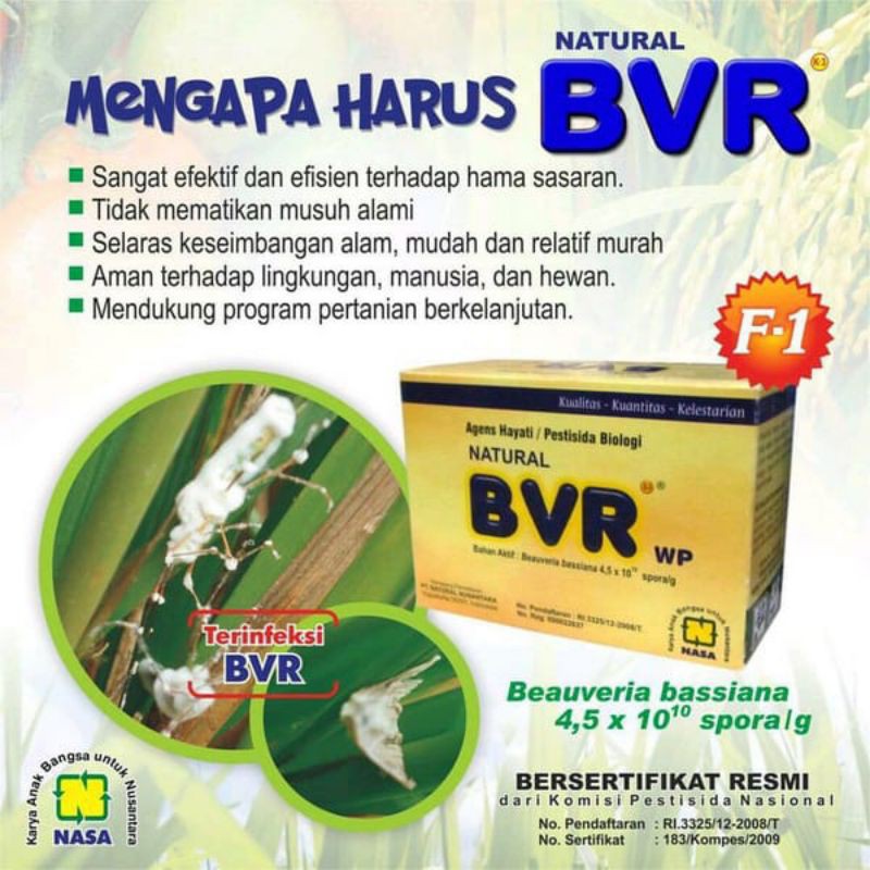 Obat Hama Putih, kutu daun, Walang sangit, Wereng