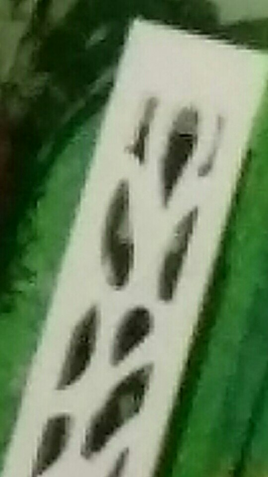 Radysa Tempat Payung Vintage / Stand Payung Umbrella Organizer