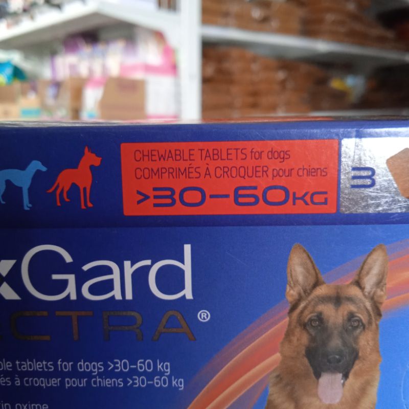 Obat Kutu Anjing dan Demodex NEXGARD size XL (30-60 kg) 1 BOX