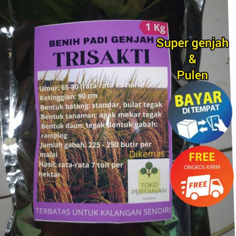 TRISAKTI Benih padi 1kg berkualitas SUPER GENJAH..