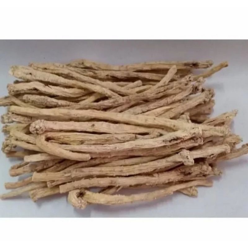 

100 G GR GRAM WEN DANG SHEN TONG SEM TONG SIM CODONOPSIS PILOSE BELL ROOT