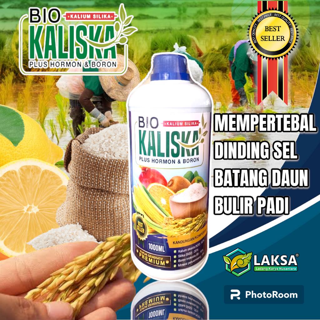 BIO KALIUM SILIKA 1 LITER (KALISKA)