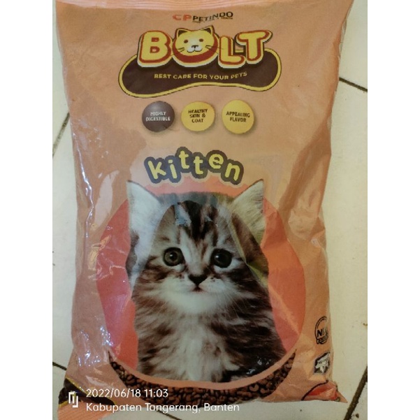 Bolt kitten