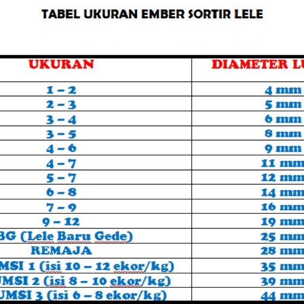 Ember Bak Sortir Lele Baskom Ayakan Alat Sortiran Ikan Konsumsi Nila