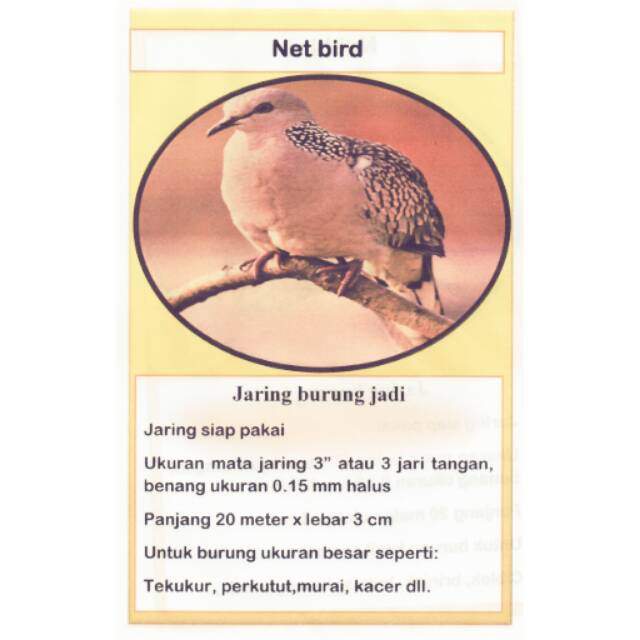 740 Gambar Burung Net Net Gratis Terbaru