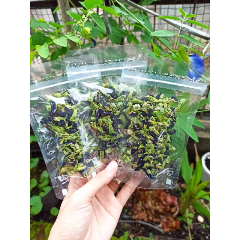 

BUNGA TELANG KERING & FRESH BIRU ORGANIK / BUTTERFLY PEA ORGANIC
