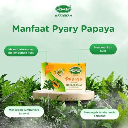 Sabun Pepaya Pyary  Original | SOAP PYARY PAPAYA ORIGINAL | Sabun PEPAYA BPOM RI NA 17190500009