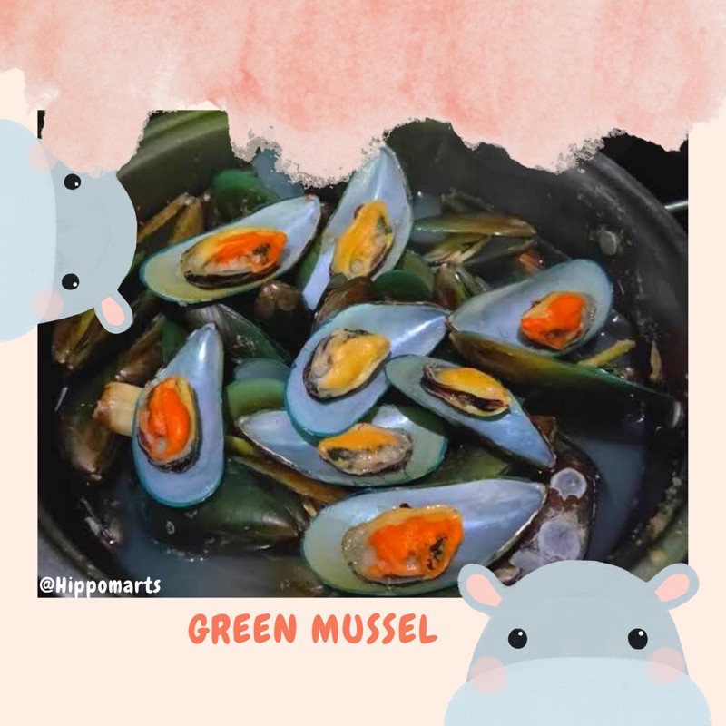 

Kerang Hijau / Green Mussel