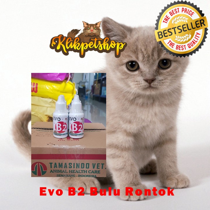 Evo b2  Bulu Rontok Kucing Vitamin B2 Asam Amino