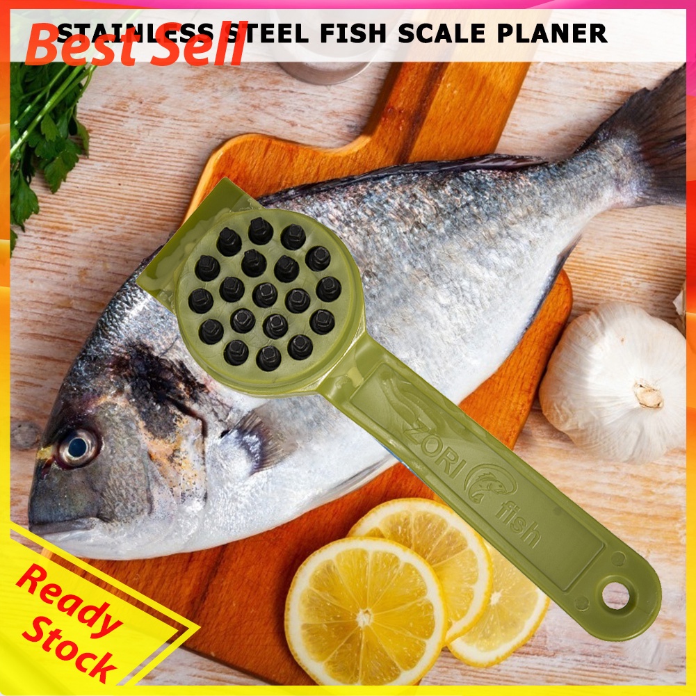 Plastic Fishing Skin Brush Scraping Scale Graters Remove Cleaning Scraper