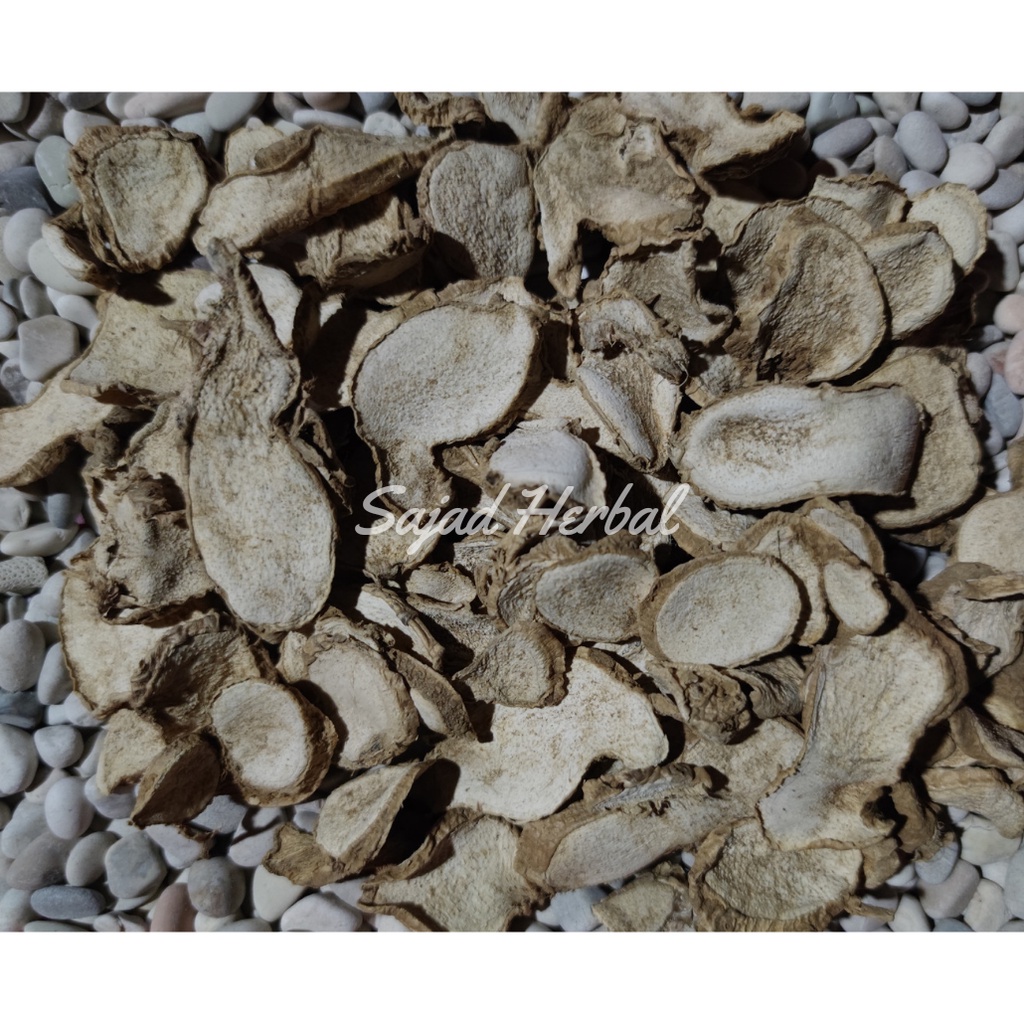 

Lempuyang Gajah Kering Alami 1KG (Zingiber zerumbet. L)