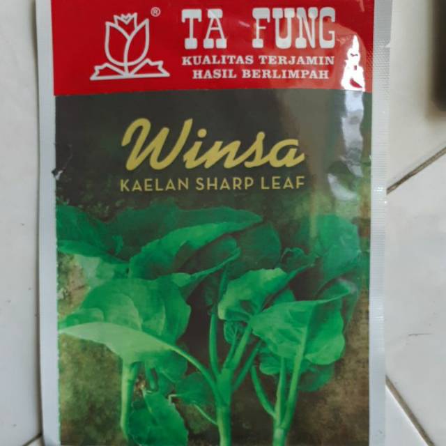 Benih Kailan Winsa / Kaelan Sharp Leaf
