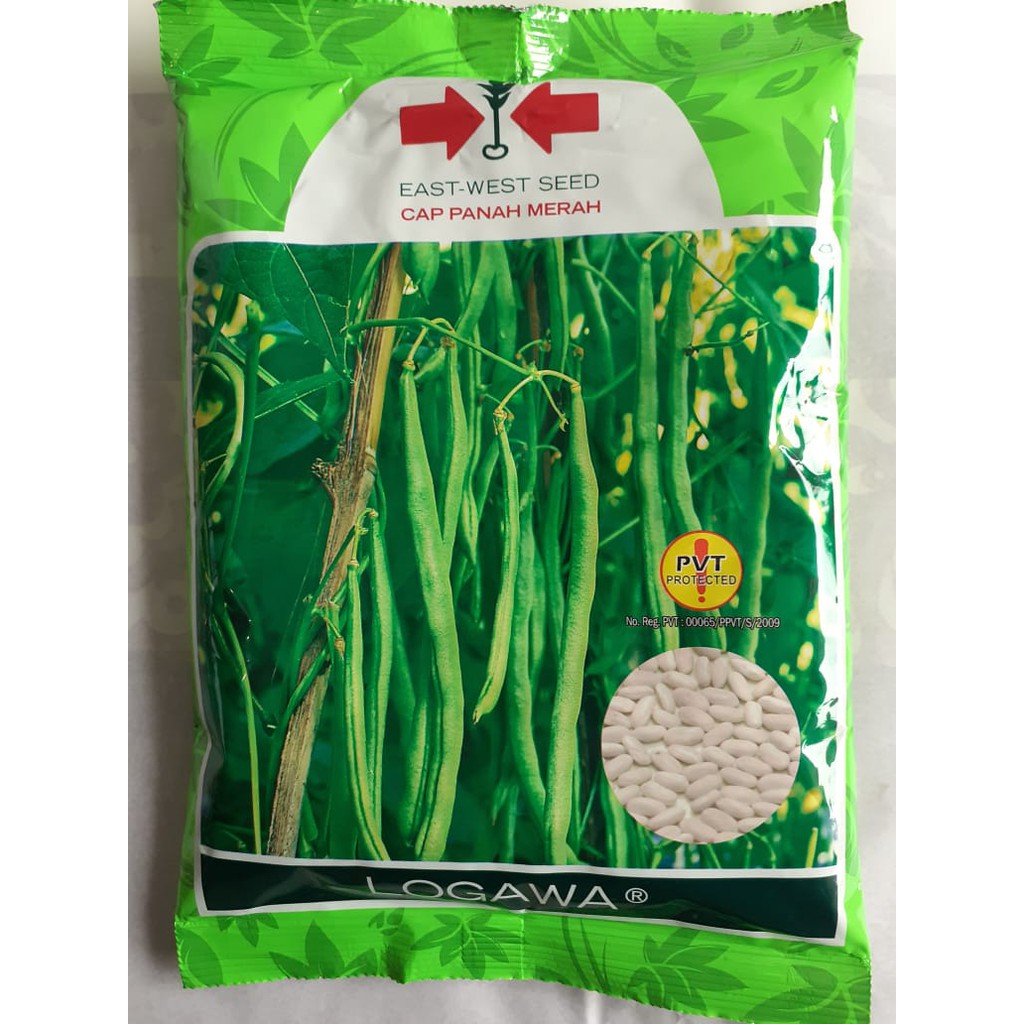 Benih Buncis LOGAWA 500 gram