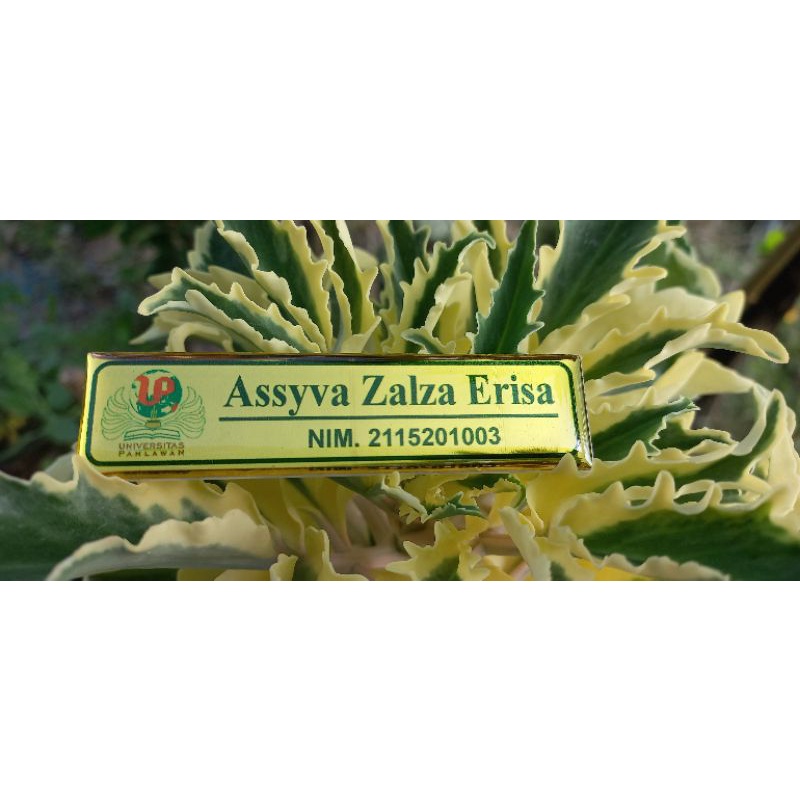 

Nametag / nama dada murah