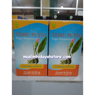 

Temu Putih untuk Terapi Kanker