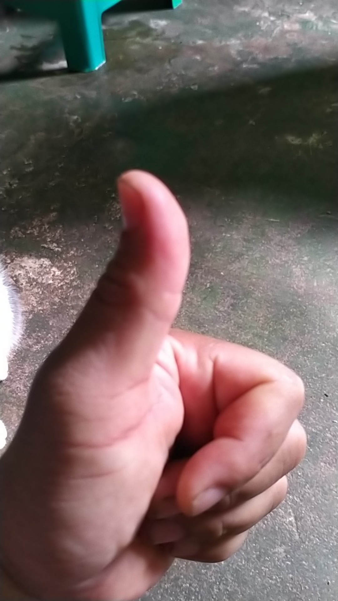 Camel Obeng Testpen Minus Transparant - Test Pen Tools