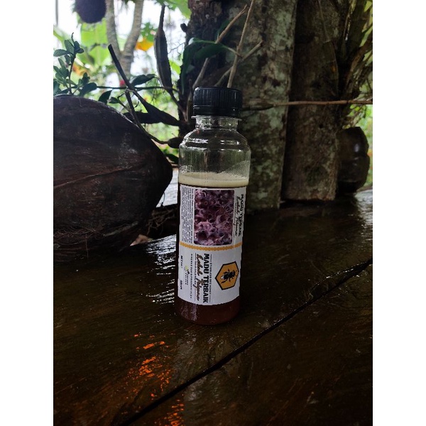 

Madu Lebah ( Madu galo-galo )