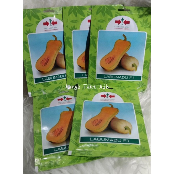 Bibit Benih Labu Madu F1 Panah Merah