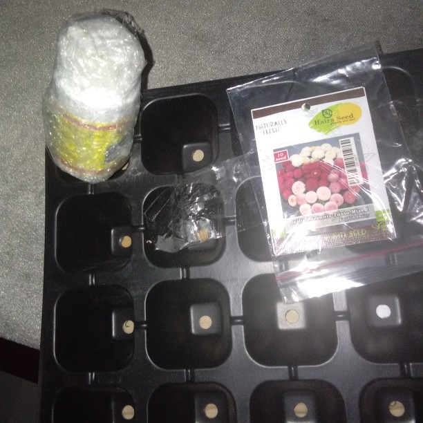 Tray Semai 32 Lubang