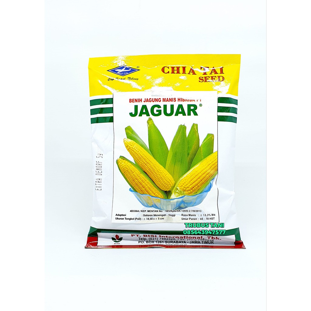 BENIH JAGUNG MANIS F1 JAGUAR isi 1.800 biji