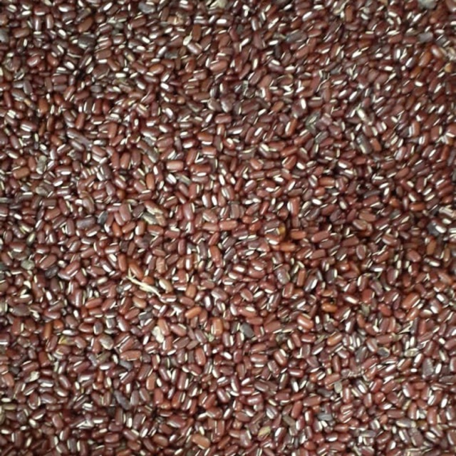 

Kacang Merah kecil (kacang es medan)