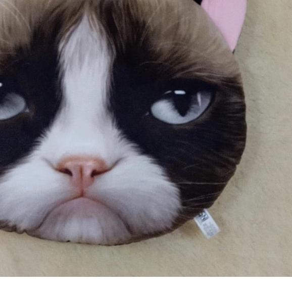 Bantal Kucing, Bantal Kepala Kucing, Cat Cushion