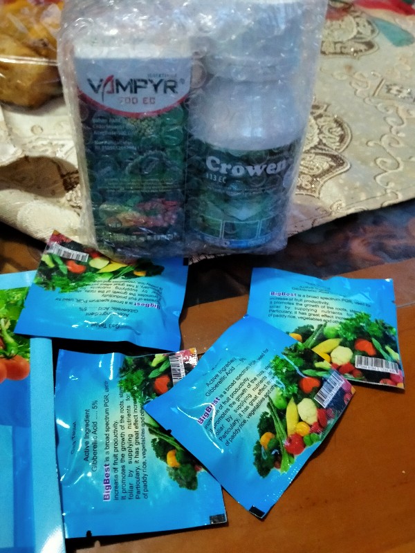 Insektisida Vampyr 700ec Pembasmi Ulat Tanaman Kubis,bawang Merah,sawi Dll (100ml)